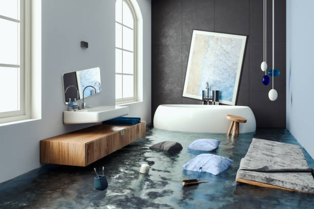 Best Ceiling water damage repair  in Wallace, ID