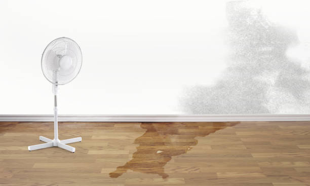 Water damage restoration insurance claims in Wallace, ID
