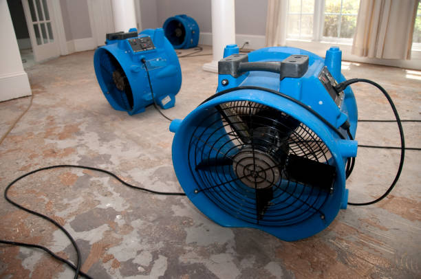Water damage restoration experts in Wallace, ID