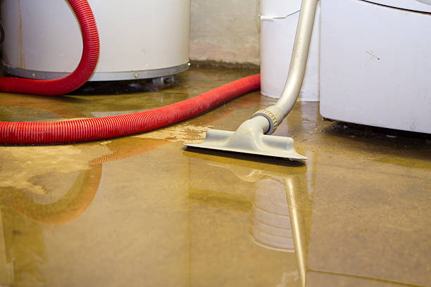 Trusted Wallace, ID Water damage restoration Experts